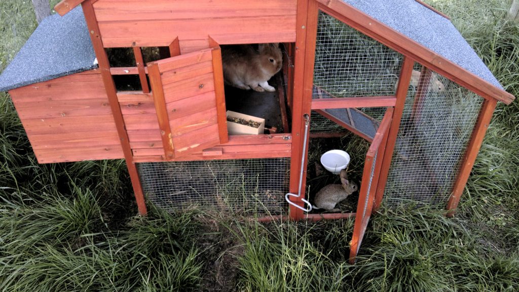 Village de Vacances avec animaux